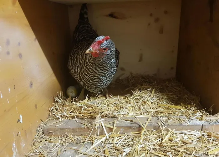 Muehlebnerhof Апартаменты *