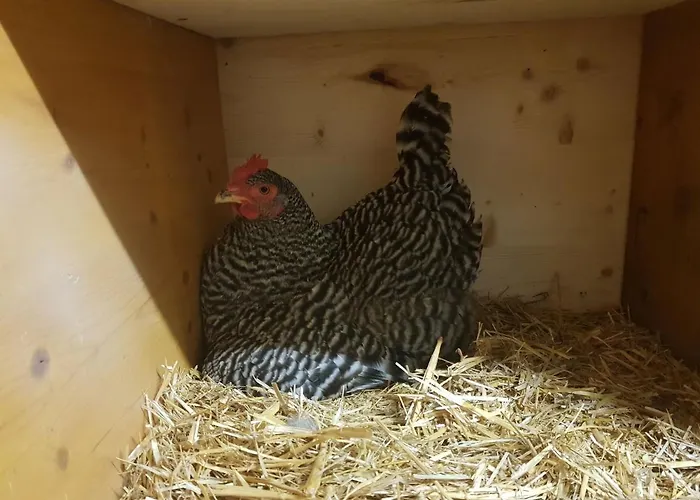 Apartamento Muehlebnerhof Ramsau am Dachstein