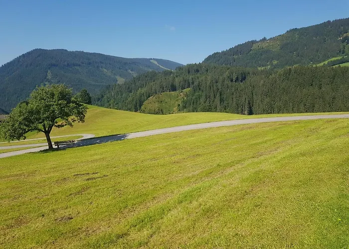 Muehlebnerhof Апартаменты *