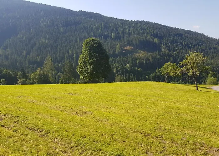 Muehlebnerhof Апартаменты *