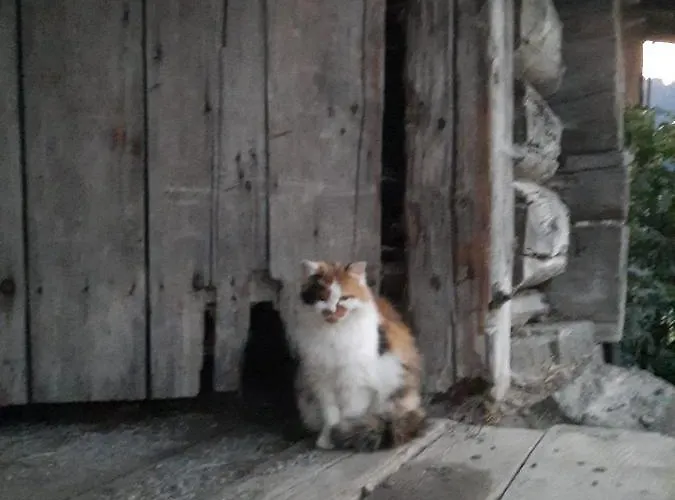 Muehlebnerhof Рамзау