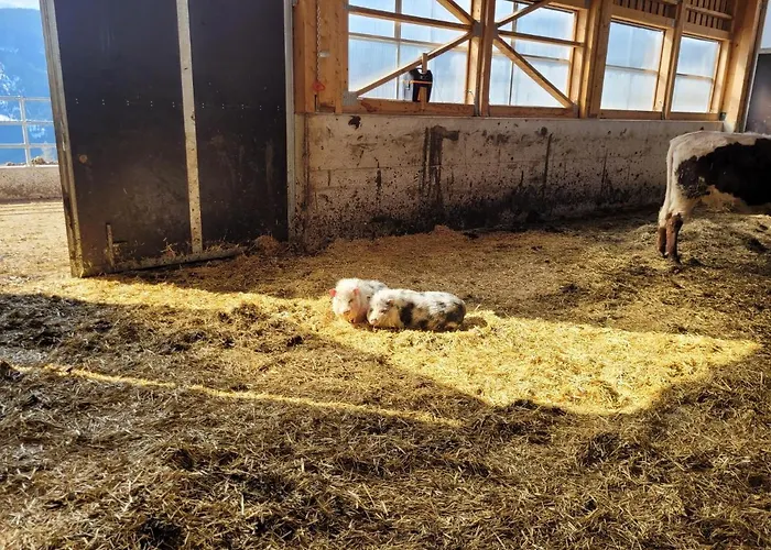 Muehlebnerhof Апартаменты